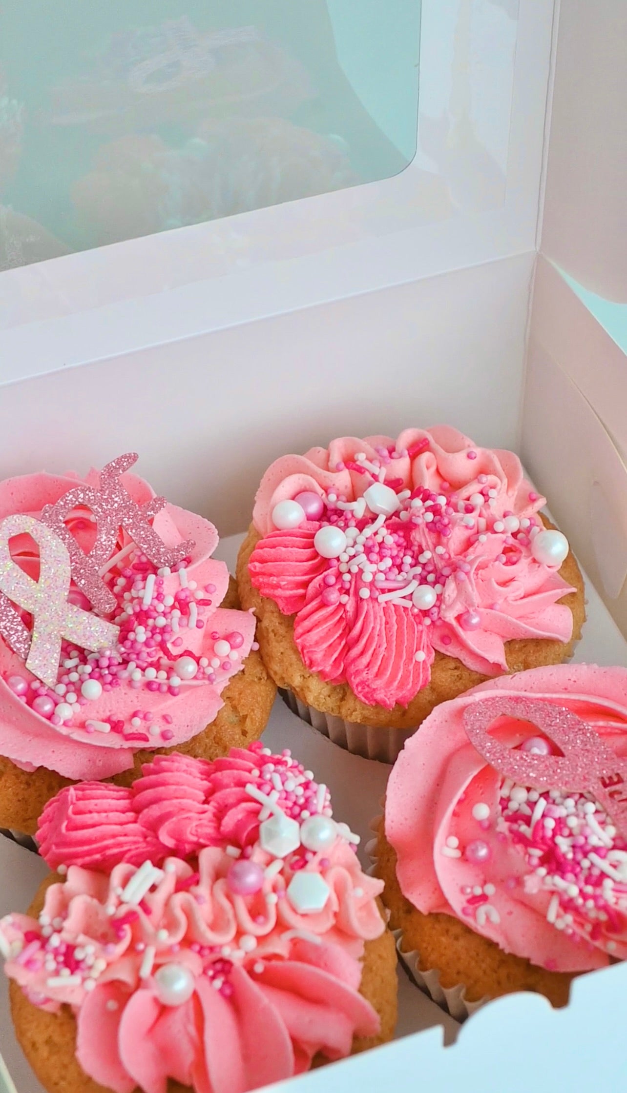 PINK UP GRIFFITH cupcakes 4 PACK *PREORDER* CHOCOLATE FLAVOUR