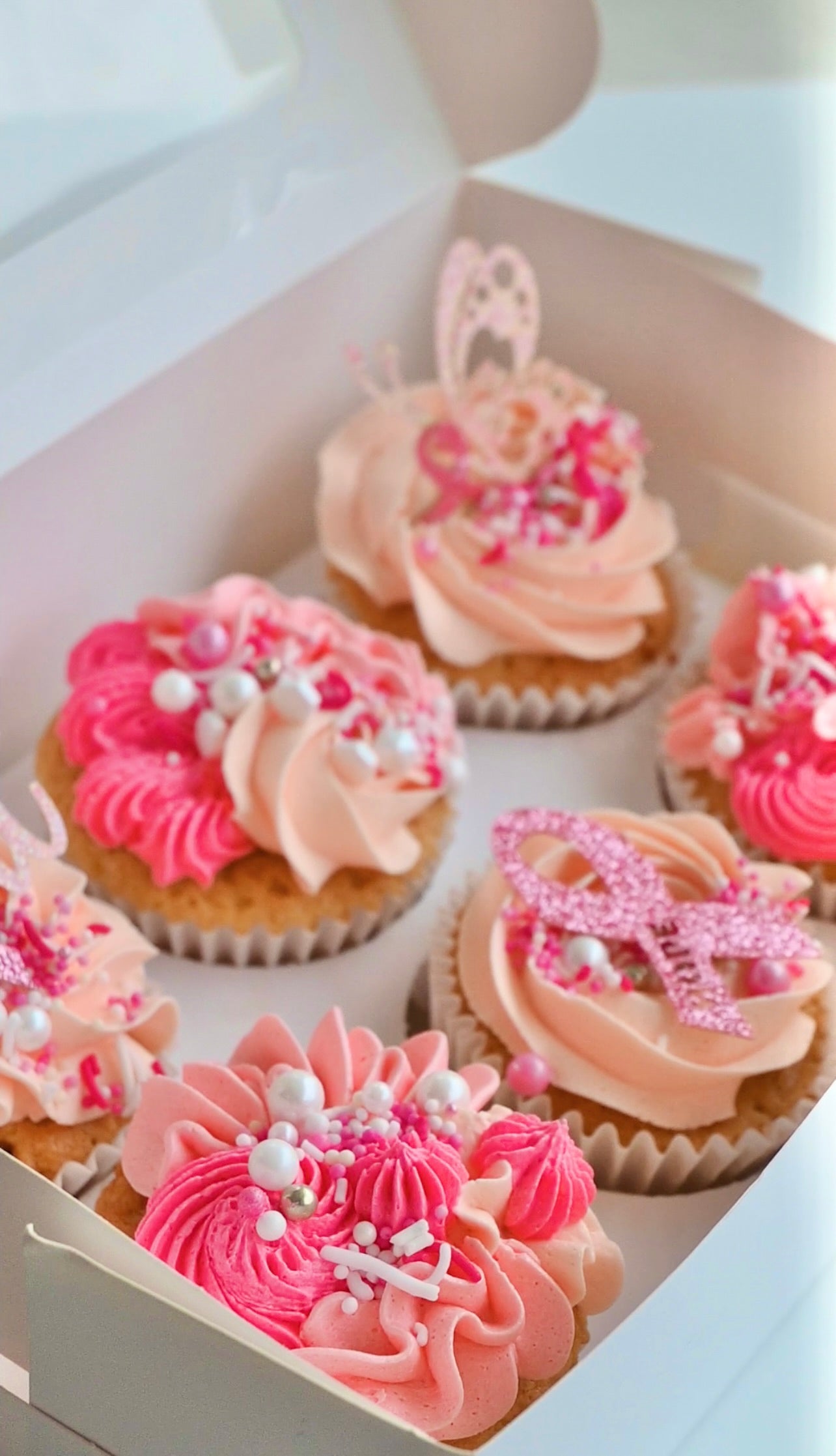 PINK UP GRIFFITH cupcakes 6 PACK *PREORDER* CHOCOLATE FLAVOUR